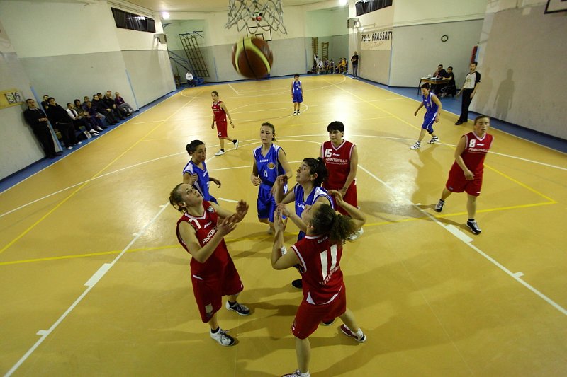 Basket 443103